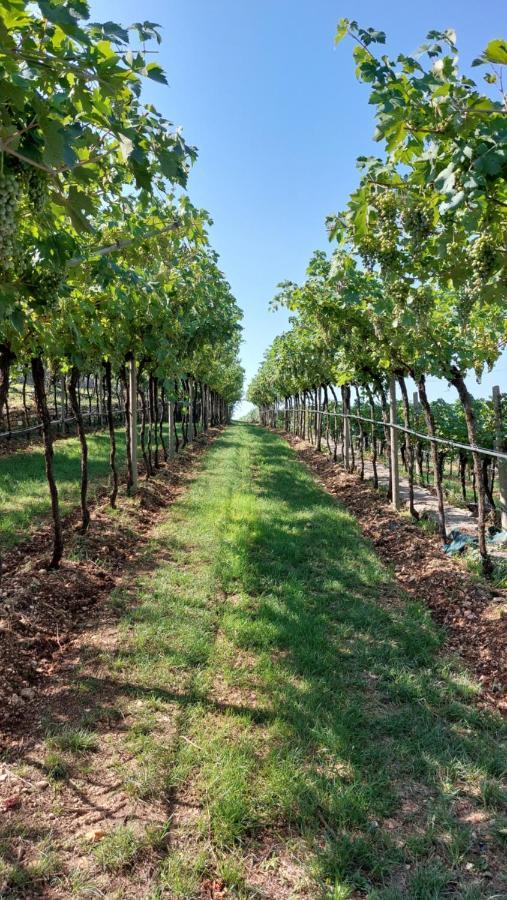Azienda Agrituristica Corteforte Fumane Dış mekan fotoğraf