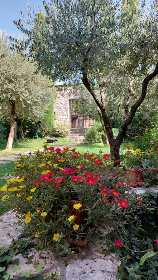 Azienda Agrituristica Corteforte Fumane Dış mekan fotoğraf