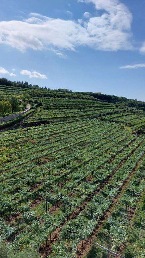 Azienda Agrituristica Corteforte Fumane Dış mekan fotoğraf