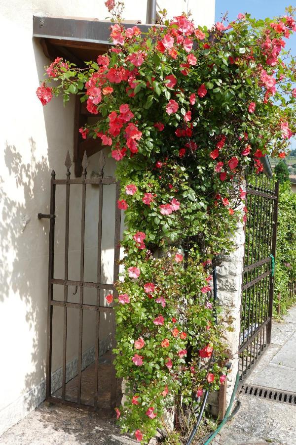 Azienda Agrituristica Corteforte Fumane Dış mekan fotoğraf
