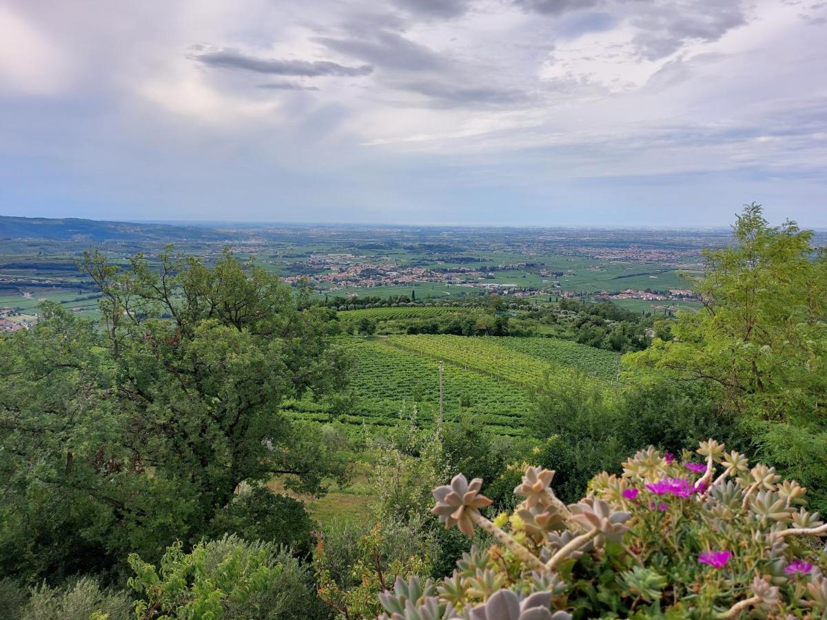 Azienda Agrituristica Corteforte Fumane Dış mekan fotoğraf